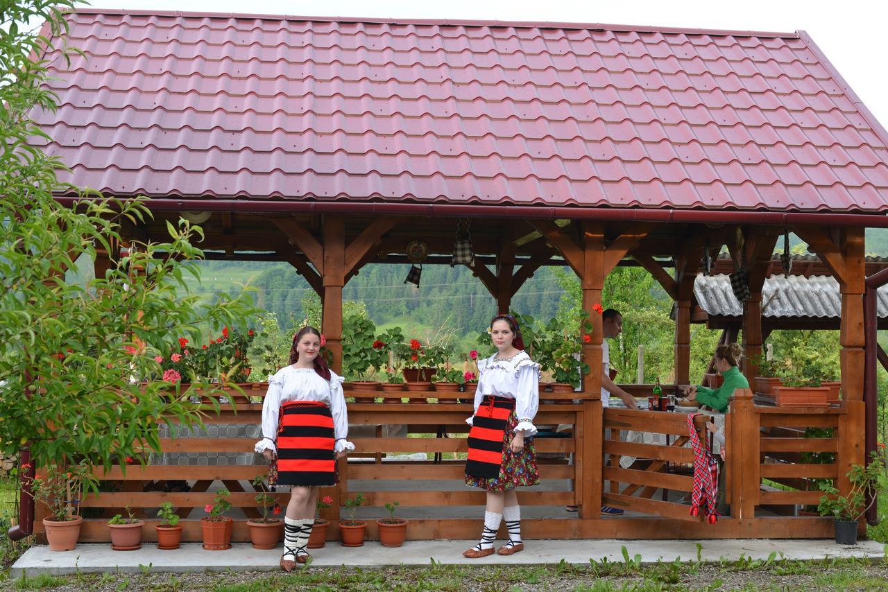 Pensiunea Popan Şieu Buitenkant foto