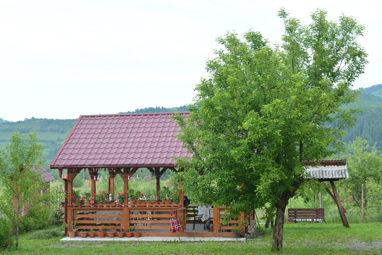 Pensiunea Popan Şieu Buitenkant foto